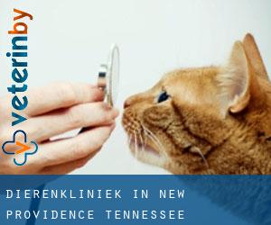 Dierenkliniek in New Providence (Tennessee)