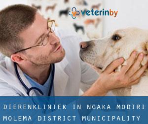 Dierenkliniek in Ngaka Modiri Molema District Municipality door gemeente - pagina 1