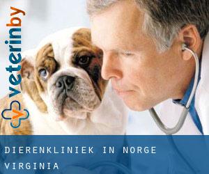 Dierenkliniek in Norge (Virginia)