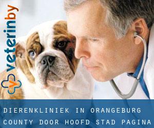 Dierenkliniek in Orangeburg County door hoofd stad - pagina 1