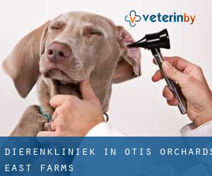 Dierenkliniek in Otis Orchards-East Farms