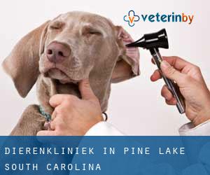Dierenkliniek in Pine Lake (South Carolina)