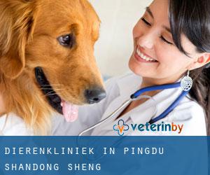 Dierenkliniek in Pingdu (Shandong Sheng)