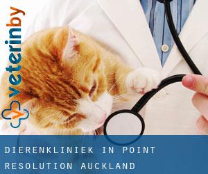 Dierenkliniek in Point Resolution (Auckland)