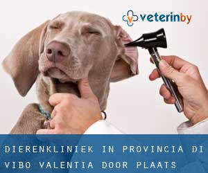 Dierenkliniek in Provincia di Vibo-Valentia door plaats - pagina 1