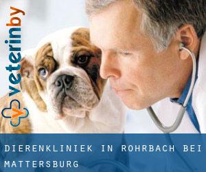Dierenkliniek in Rohrbach bei Mattersburg
