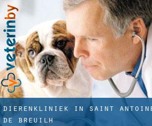 Dierenkliniek in Saint-Antoine-de-Breuilh