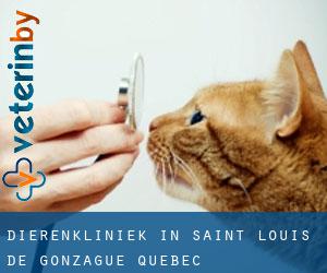 Dierenkliniek in Saint-Louis-de-Gonzague (Quebec)