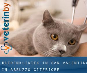 Dierenkliniek in San Valentino in Abruzzo Citeriore