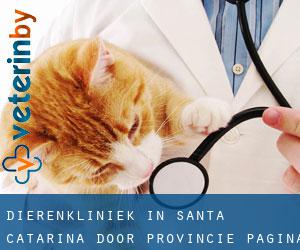Dierenkliniek in Santa Catarina door Provincie - pagina 1