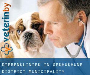 Dierenkliniek in Sekhukhune District Municipality