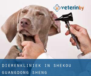 Dierenkliniek in Shekou (Guangdong Sheng)