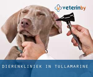 Dierenkliniek in Tullamarine