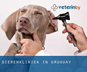Dierenkliniek in Uruguay