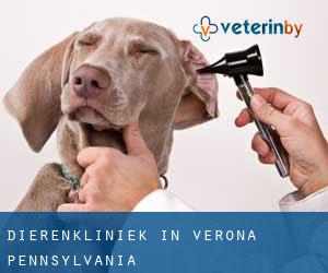 Dierenkliniek in Verona (Pennsylvania)