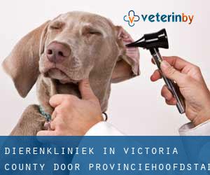 Dierenkliniek in Victoria County door provinciehoofdstad - pagina 1