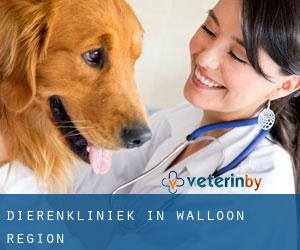 Dierenkliniek in Walloon Region