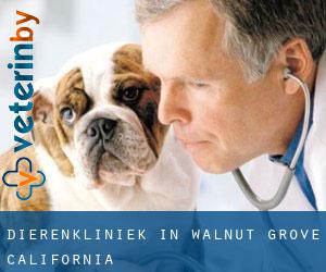 Dierenkliniek in Walnut Grove (California)