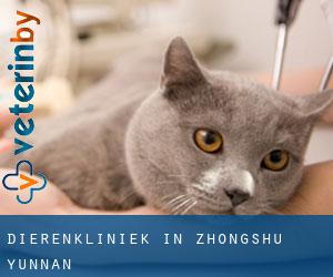Dierenkliniek in Zhongshu (Yunnan) Dierenkliniek in Zhongshu (Yunnan)