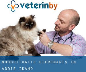 Noodsituatie dierenarts in Addie (Idaho)