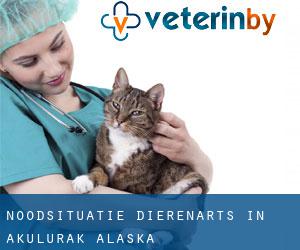 Noodsituatie dierenarts in Akulurak (Alaska)