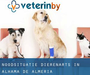 Noodsituatie dierenarts in Alhama de Almería