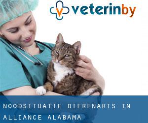 Noodsituatie dierenarts in Alliance (Alabama)