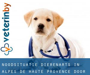 Noodsituatie dierenarts in Alpes-de-Haute-Provence door plaats - pagina 1