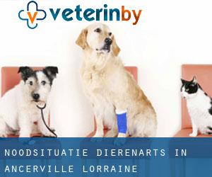 Noodsituatie dierenarts in Ancerville (Lorraine)