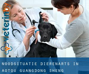 Noodsituatie dierenarts in Aotou (Guangdong Sheng)