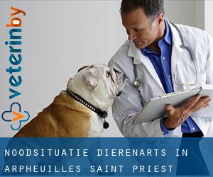 Noodsituatie dierenarts in Arpheuilles-Saint-Priest