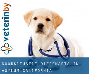 Noodsituatie dierenarts in Asylum (California)