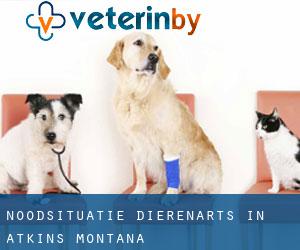 Noodsituatie dierenarts in Atkins (Montana)