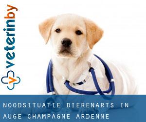 Noodsituatie dierenarts in Auge (Champagne-Ardenne)