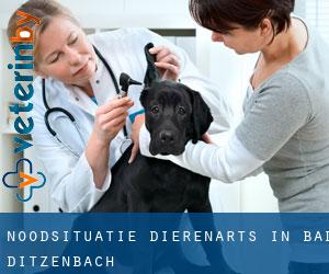 Noodsituatie dierenarts in Bad Ditzenbach