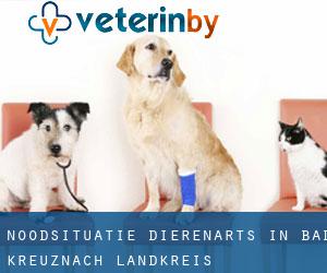Noodsituatie dierenarts in Bad Kreuznach Landkreis