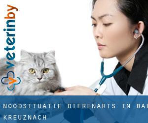 Noodsituatie dierenarts in Bad Kreuznach