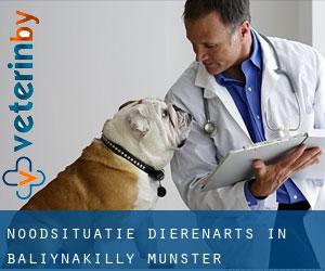 Noodsituatie dierenarts in Baliynakilly (Munster)