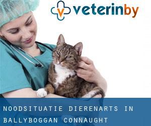 Noodsituatie dierenarts in Ballyboggan (Connaught)