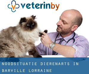 Noodsituatie dierenarts in Barville (Lorraine)