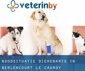 Noodsituatie dierenarts in Berlencourt-le-Cauroy