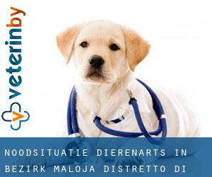 Noodsituatie dierenarts in Bezirk Maloja / Distretto di Maloggia