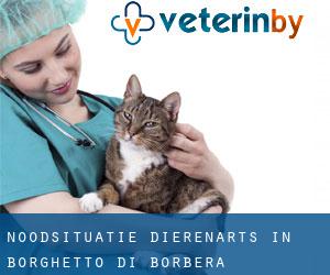 Noodsituatie dierenarts in Borghetto di Borbera