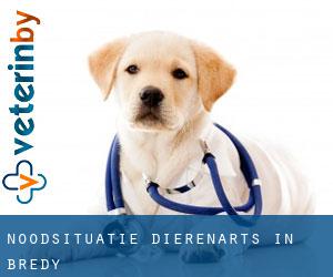 Noodsituatie dierenarts in Bredy