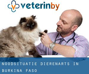Noodsituatie dierenarts in Burkina Faso Noodsituatie dierenarts in Burkina Faso