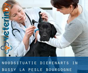 Noodsituatie dierenarts in Bussy-la-Pesle (Bourgogne)