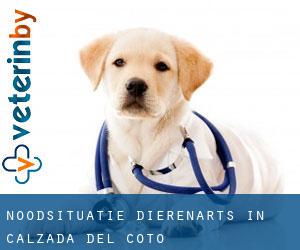 Noodsituatie dierenarts in Calzada del Coto