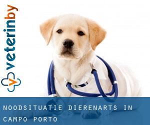 Noodsituatie dierenarts in Campo (Porto)