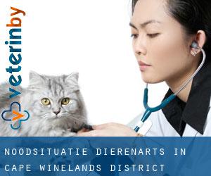 Noodsituatie dierenarts in Cape Winelands District Municipality door gemeente - pagina 1