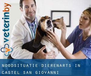 Noodsituatie dierenarts in Castel San Giovanni